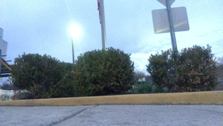 skateboarding 10